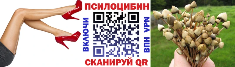 наркошоп  Ачхой-Мартан  Галлюциногенные грибы Magic Shrooms 